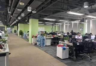 清醒小动物体成分研究