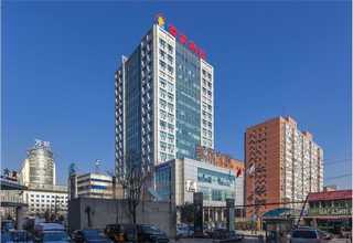 上海暖季型草坪什么价格