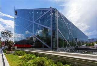 海南有机黄花菜性价比